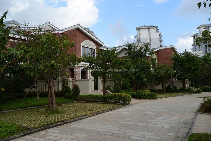 ������T�|����ȪС�Ӿ��ѭ�h��������